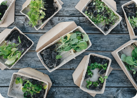 Compostable packaging products